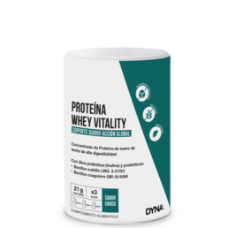 DYNA PROTEINA WHEY VITALITY SABOR CHOCO 300G